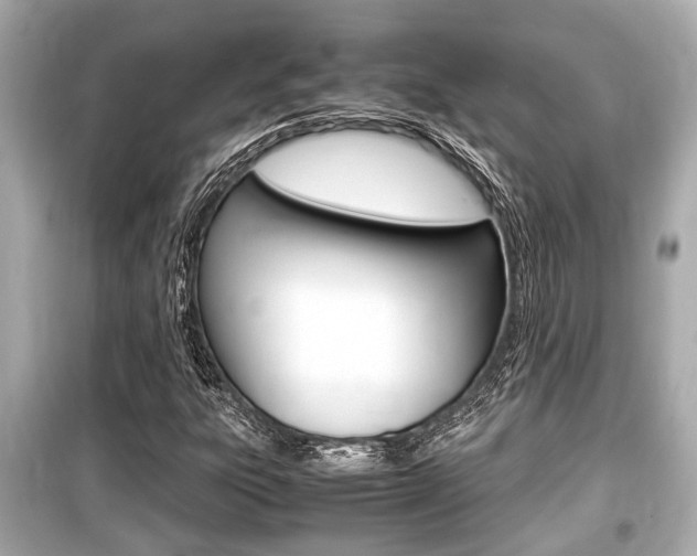 X0000099551303200805160717