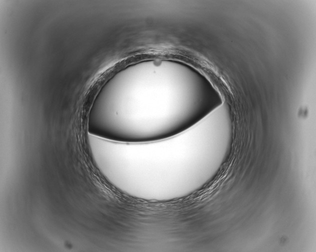 X0000099551304200805160717