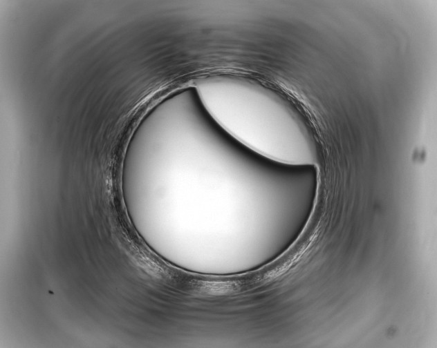 X0000099551305200805160717