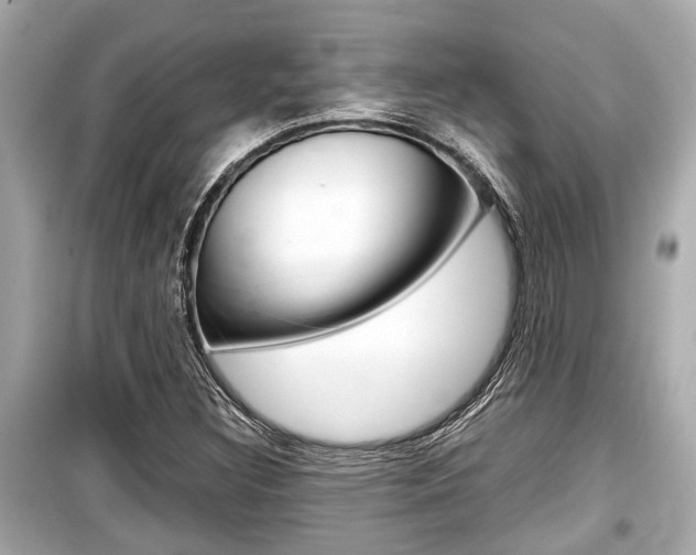 X0000099551308200805160717