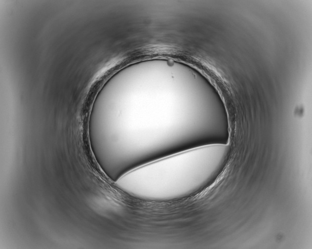X0000099551309200805160717