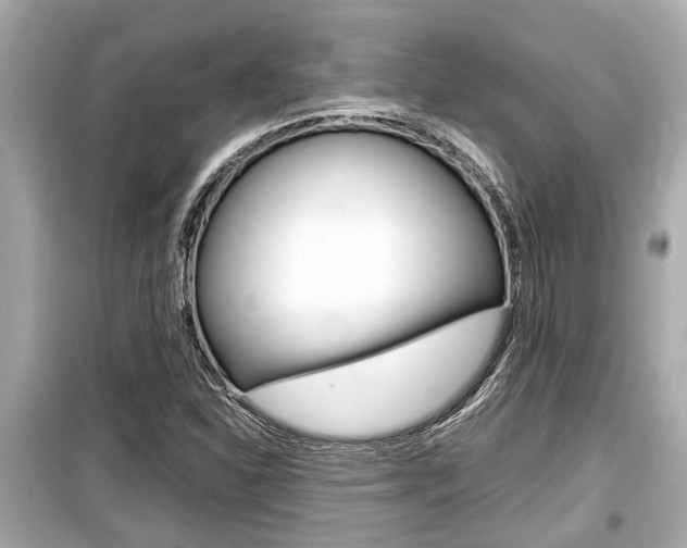 X0000099551310200805160717