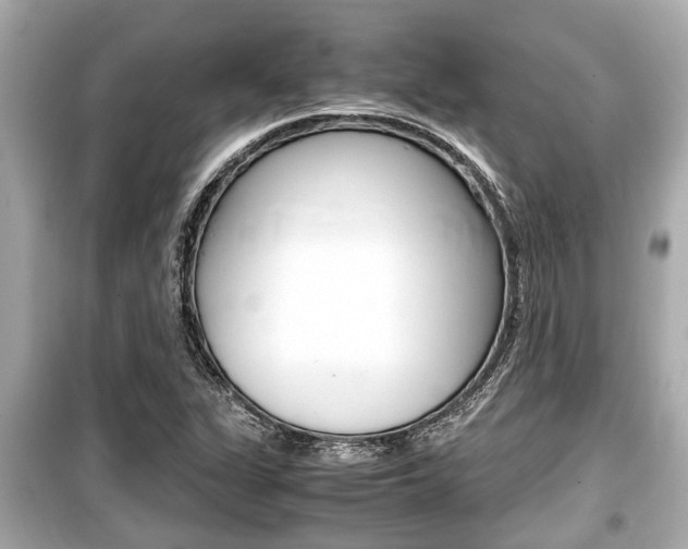X0000099551311200805160717