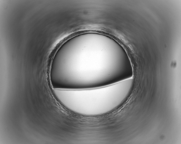 X0000099551312200805160717