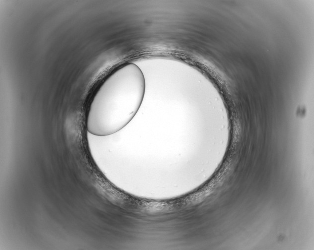 X0000099551314200805160717