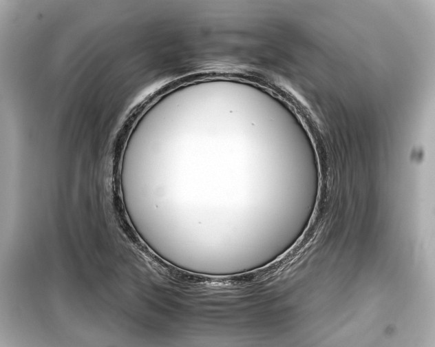 X0000099551315200805160717