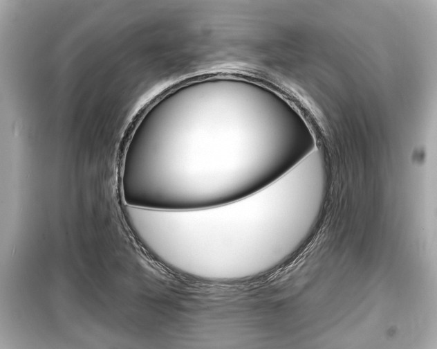 X0000099551316200805160717