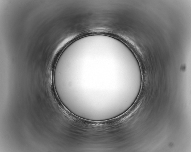 X0000099551317200805160717