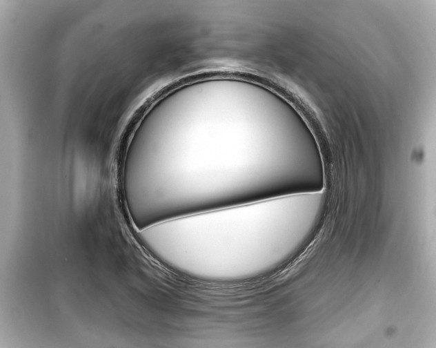 X0000099551318200805160717
