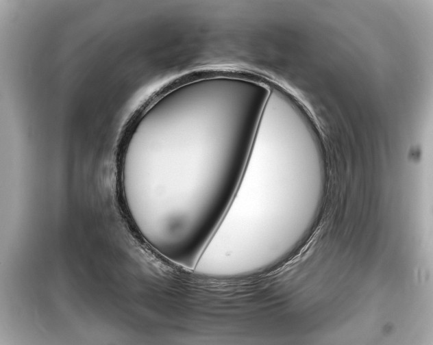 X0000099551319200805160717