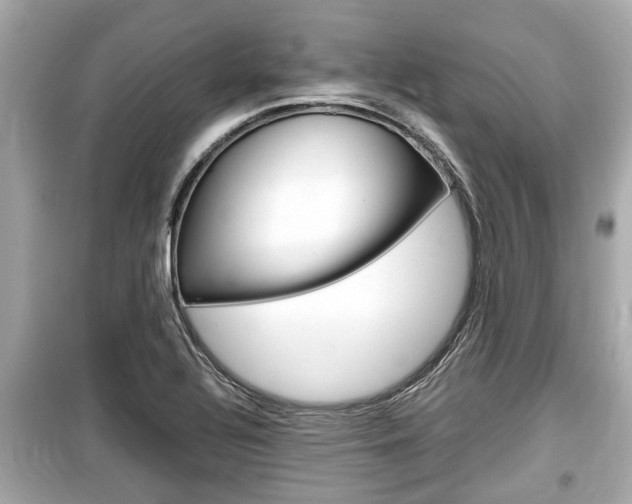 X0000099551320200805160717
