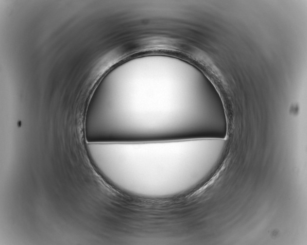X0000099551321200805160717