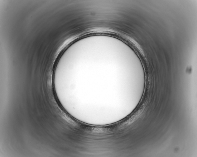 X0000099551322200805160717
