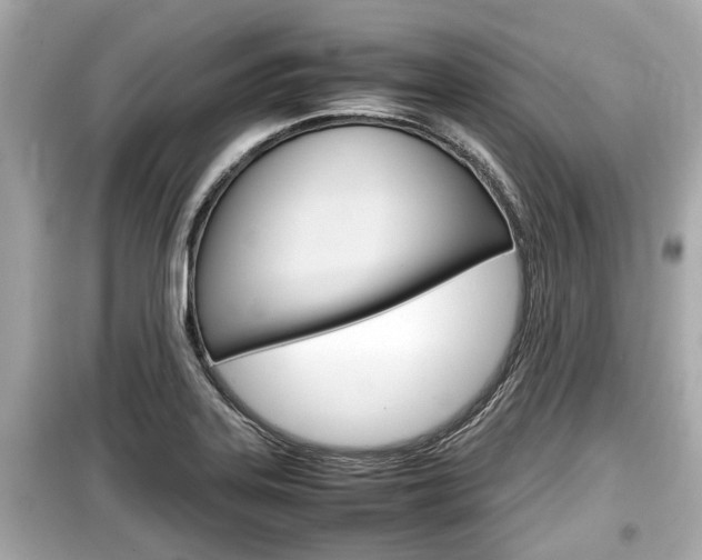 X0000099551323200805160717