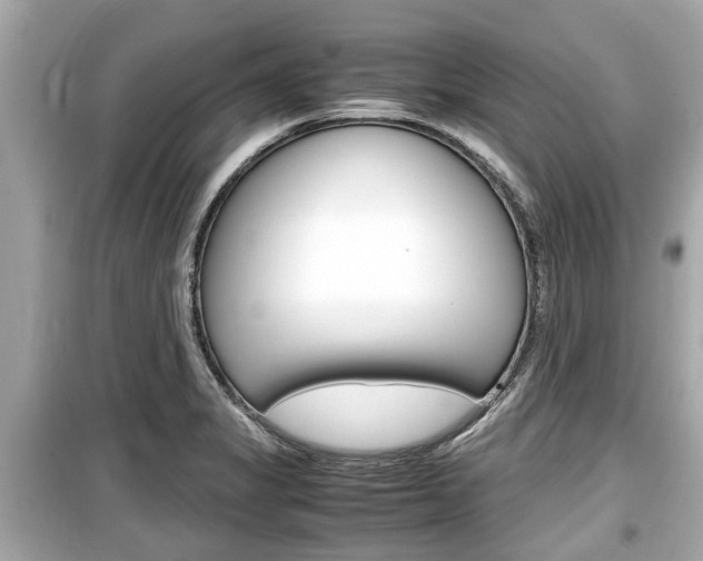 X0000099551325200805160717