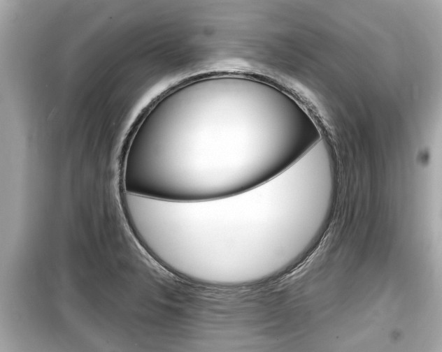 X0000099551326200805160717