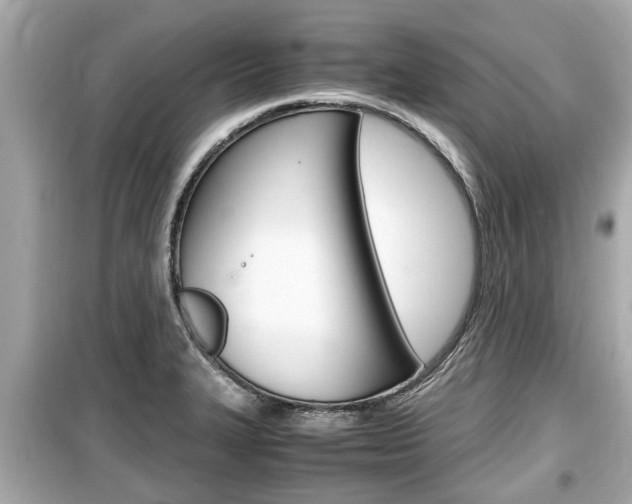 X0000099551327200805160717