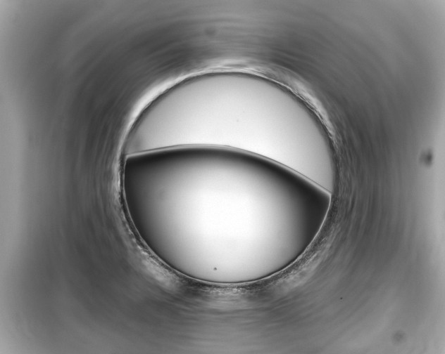 X0000099551328200805160717