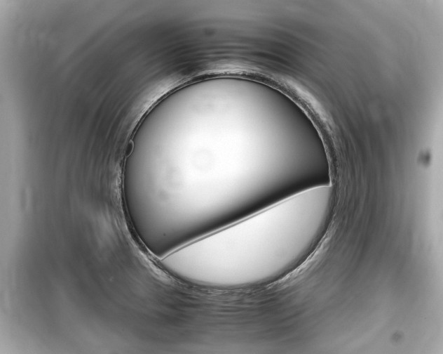 X0000099551329200805160717