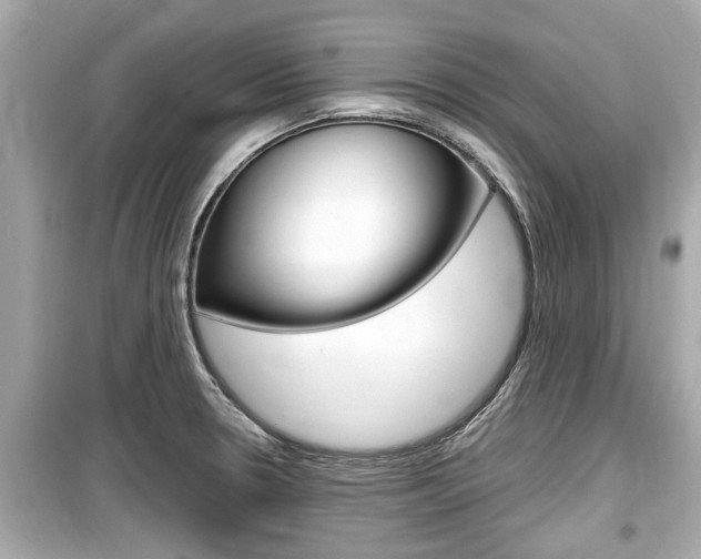 X0000099551330200805160717