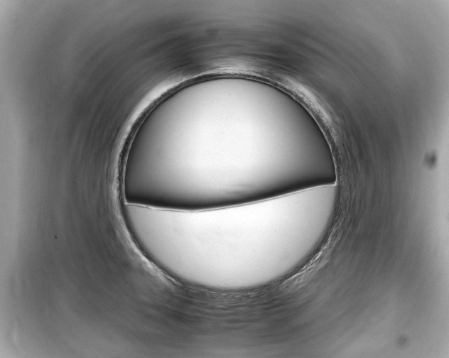 X0000099551331200805160717