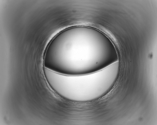 X0000099551332200805160717