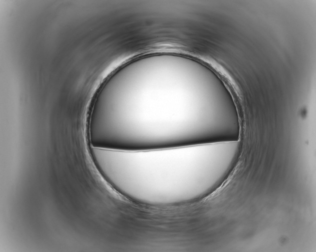 X0000099551333200805160717