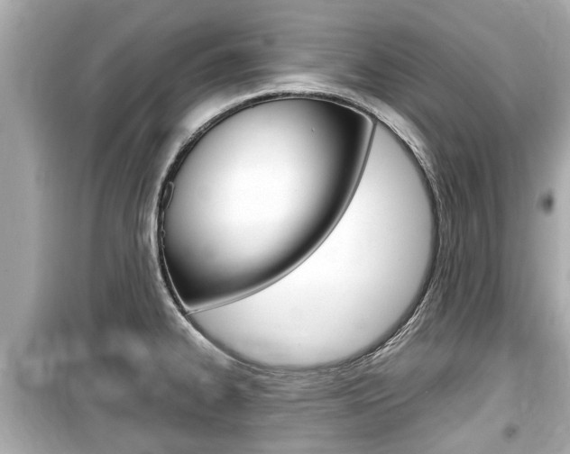 X0000099551334200805160717