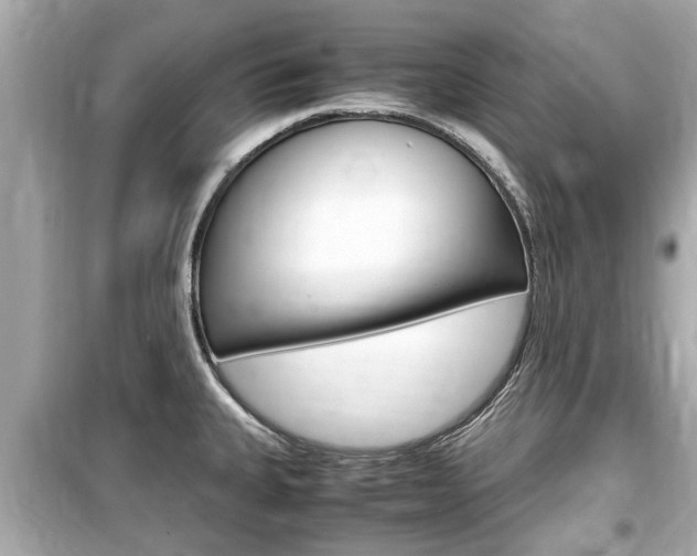 X0000099551335200805160717