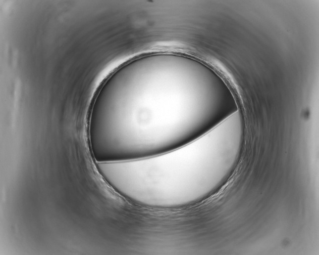 X0000099551336200805160717