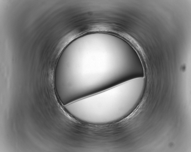 X0000099551337200805160717