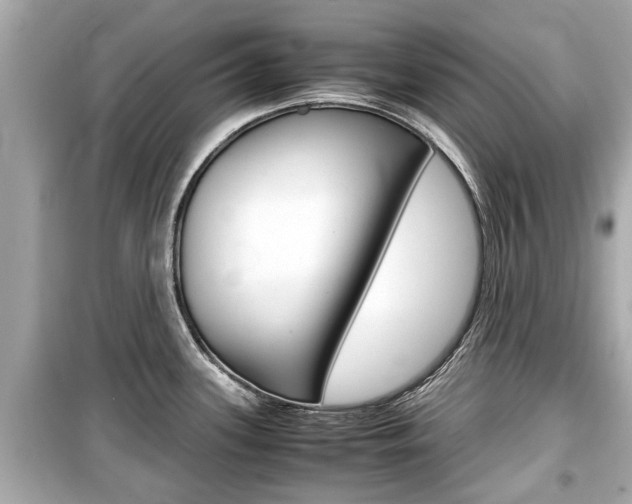 X0000099551339200805160717