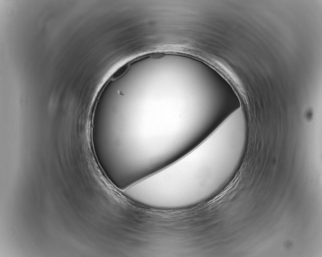 X0000099551340200805160717