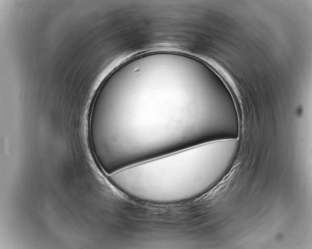 X0000099551341200805160717