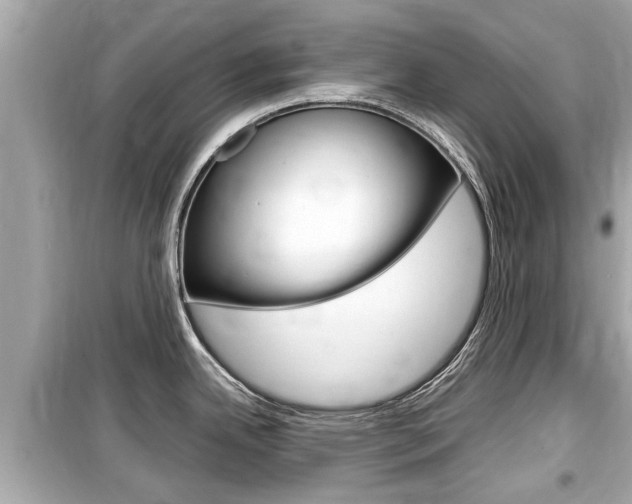 X0000099551342200805160717