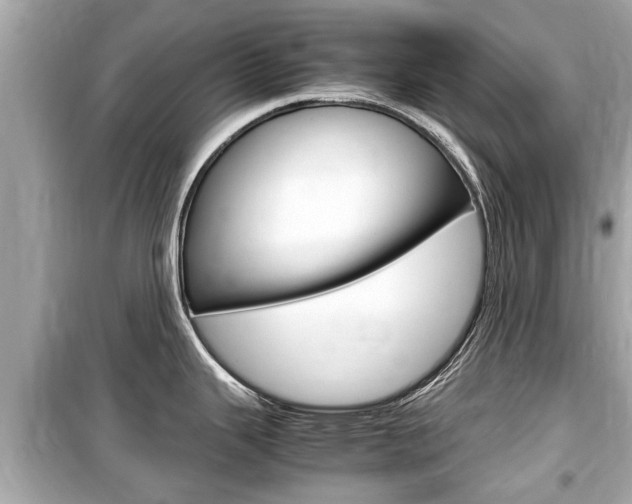 X0000099551343200805160717