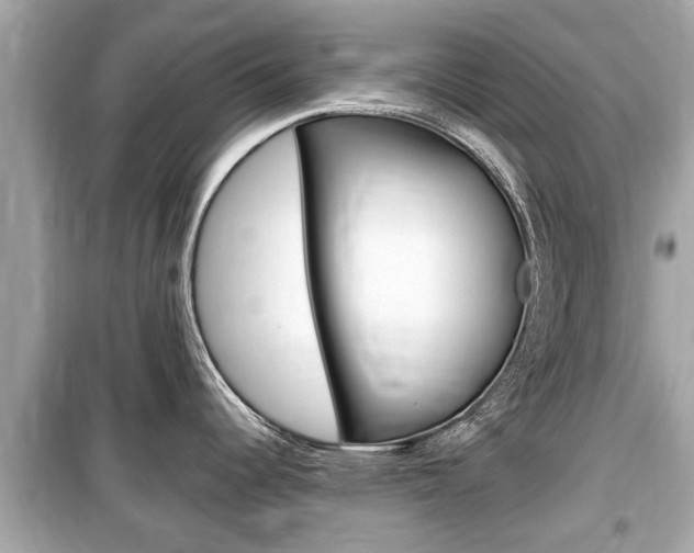 X0000099551344200805160717