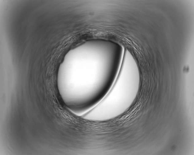 X0000099551345200805160716