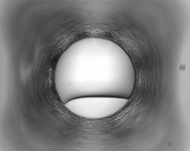 X0000099551346200805160716