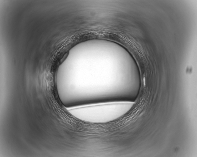 X0000099551347200805160716