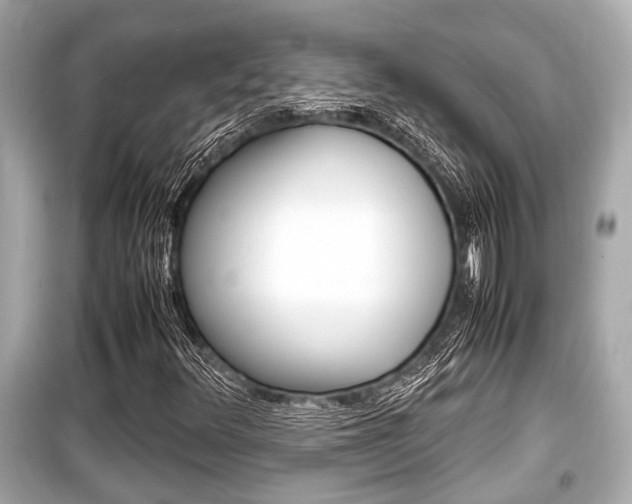 X0000099551348200805160716