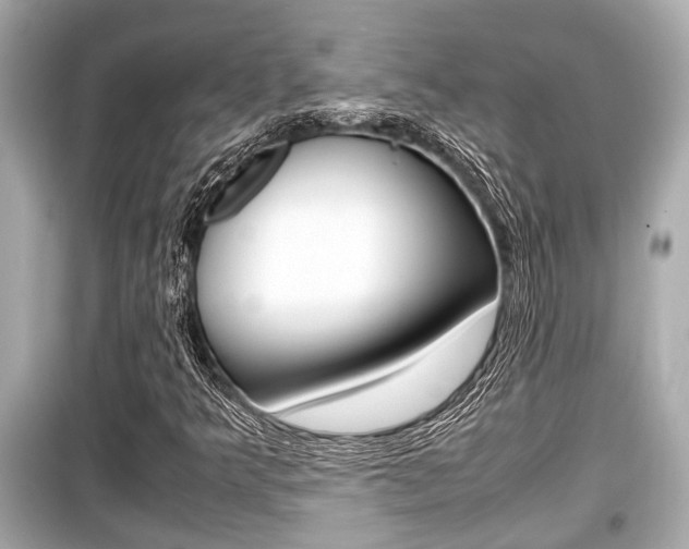 X0000099551349200805160716