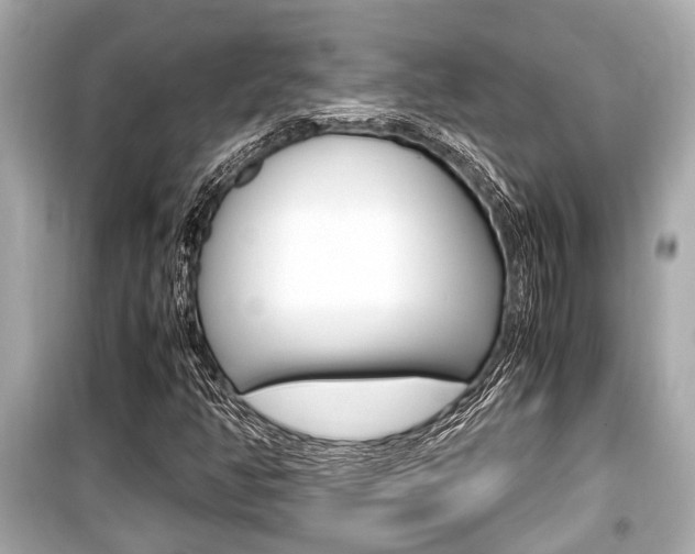 X0000099551350200805160716