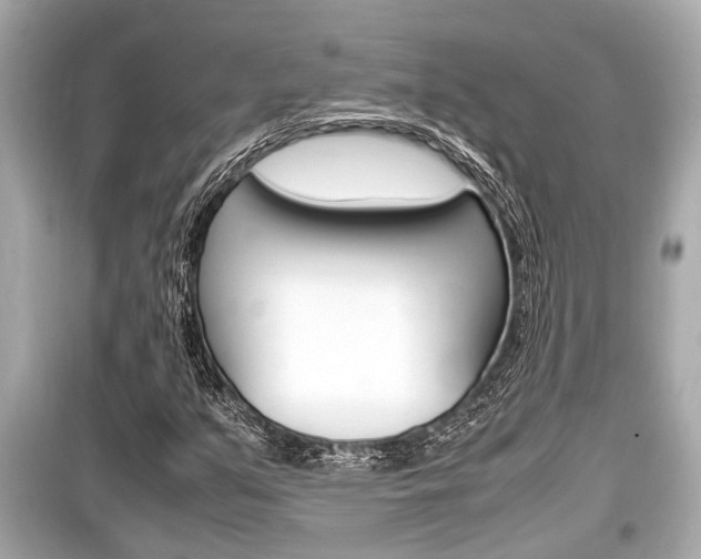 X0000099551351200805160716