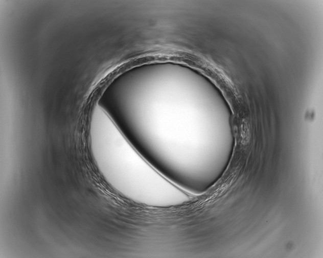 X0000099551352200805160716