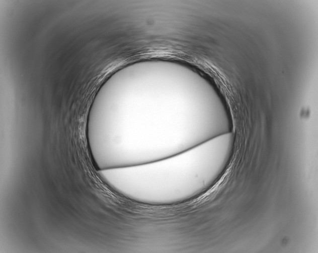 X0000099551353200805160716