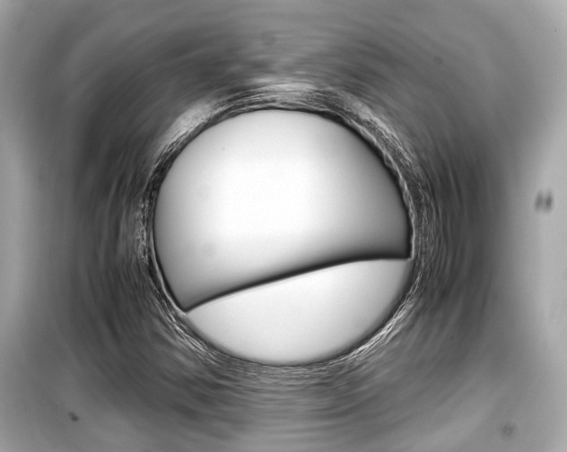 X0000099551354200805160716