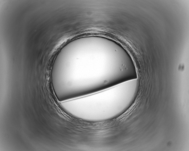 X0000099551355200805160716