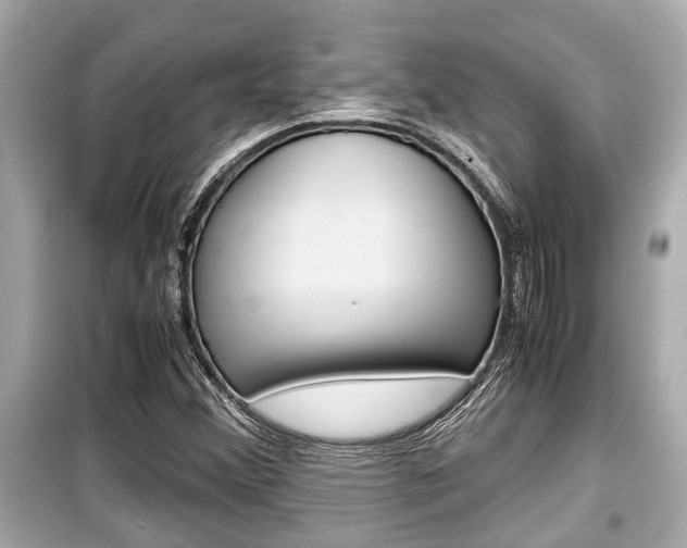 X0000099551356200805160716
