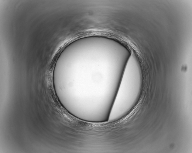 X0000099551357200805160716